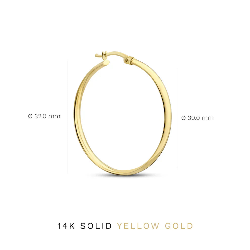 Noa Serane White Gold Earrings